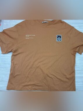 ZARA LARGE ✨ Men's Brown Crewneck Graphic T-Shirt EUC